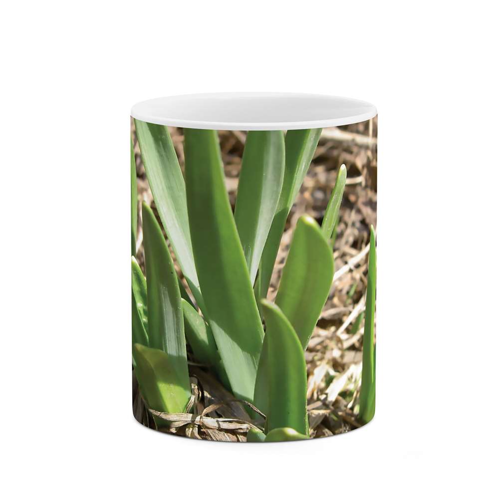 ماگ طرح گیاه مدل mgs05174