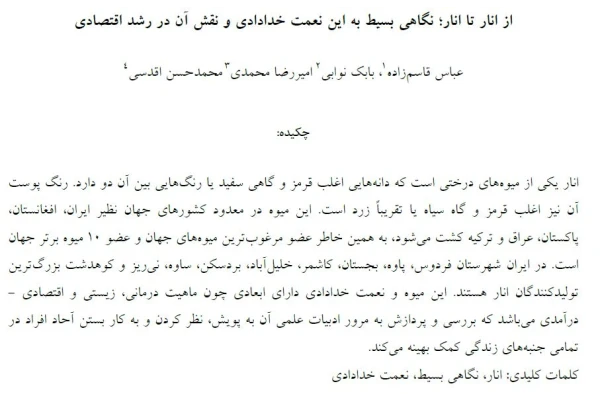 مقاله از انار تا انار؛ نگاهی بسیط به این نعمت خدادادی و نقش آن در رشد اقتصادی - کتابخانه مجازی واتیکان