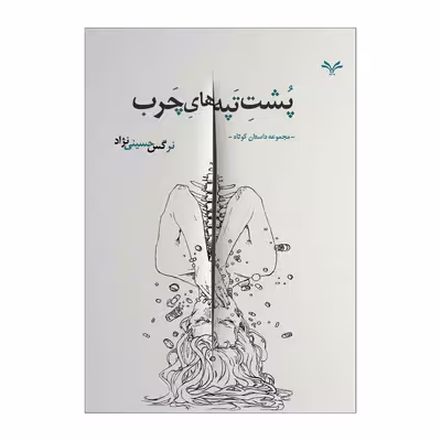 کتاب پشت تپه های چرب اثر نرگس حسینی نژاد انتشارات نامه مهر 