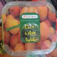 حبه عناب و زردآلو شاینا با وزن 160 گرم دارای سیب سلام