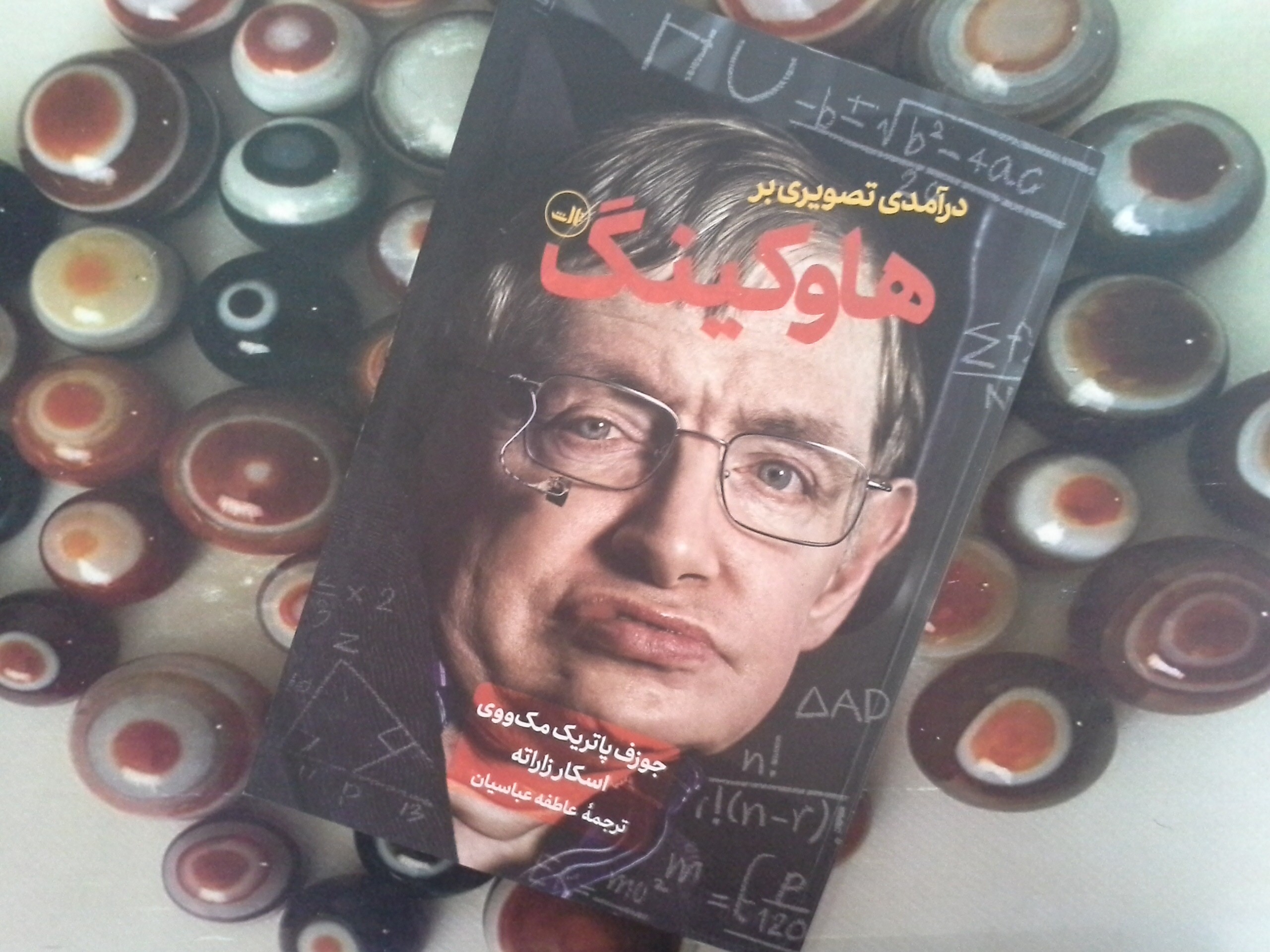 کتاب درآمدی تصویری بر هاوکینگ - خرید با تخفیف چهل درصد از کتاب دایره قهوه ای