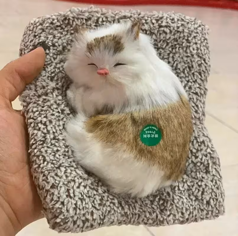 عروسک گربه خوابالو
