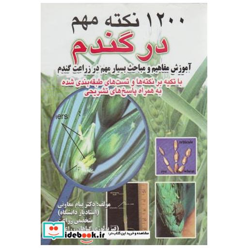 کتاب 1200 نکته مهم در گندم اثر پیام معاونی