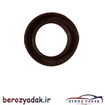 دیسک ترمز چرخ جلو برلیانس H330 - بروز یدک