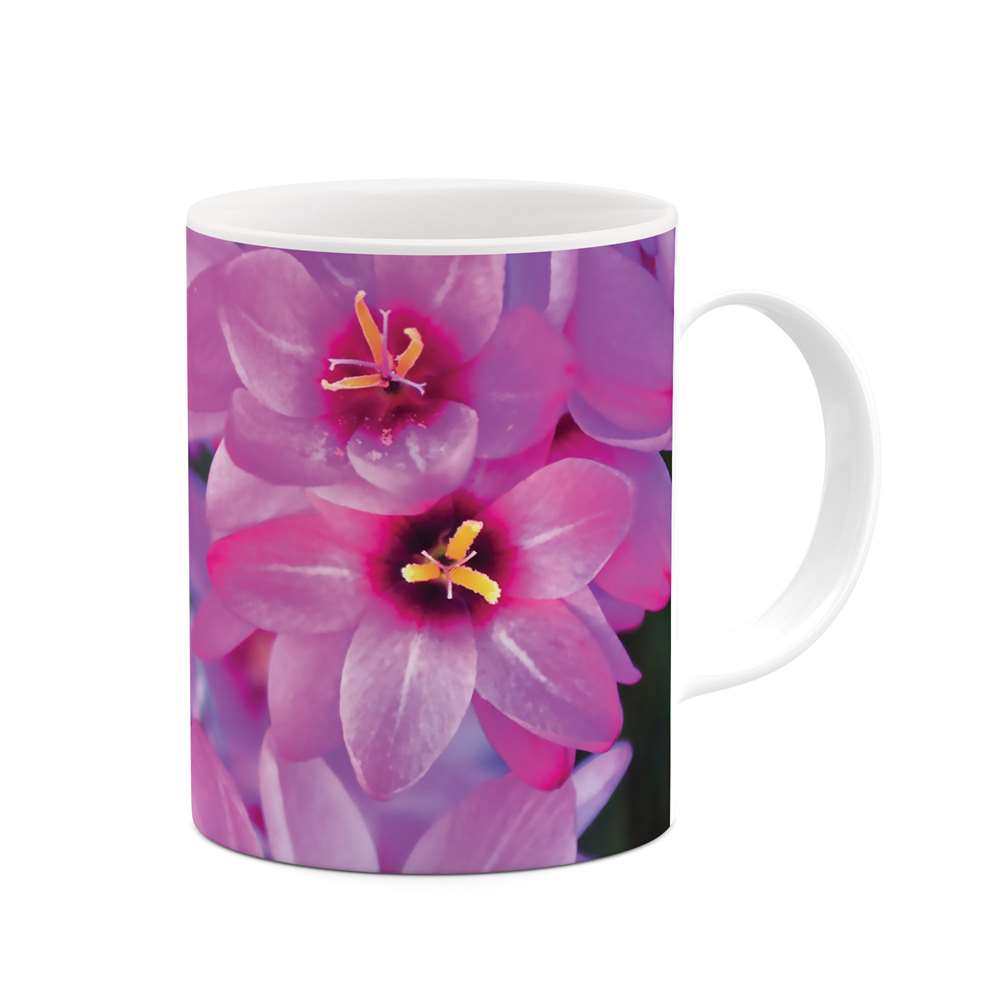 ماگ طرح شکوفه گل مدل mgs07749