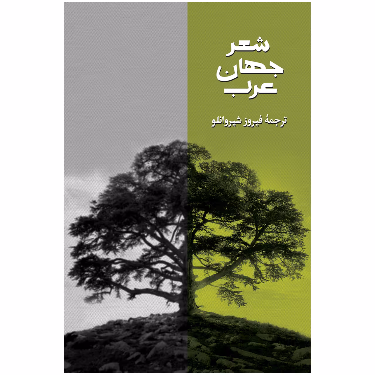 کتاب شعر جهان عرب ترجمه فیروز شیروانلو نشر روزبهان
