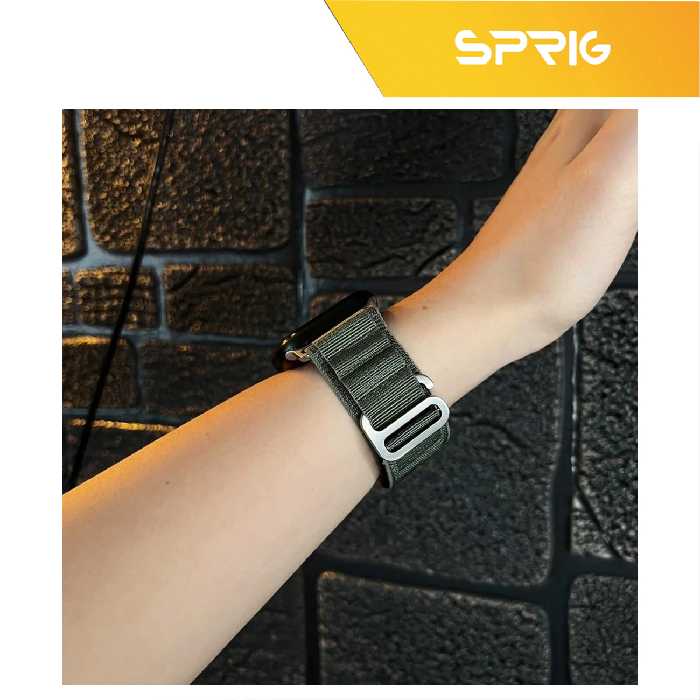بند اسپریگ مدل Loop Alpine مناسب برای اپل واچ Series 5 Aluminum 44mm