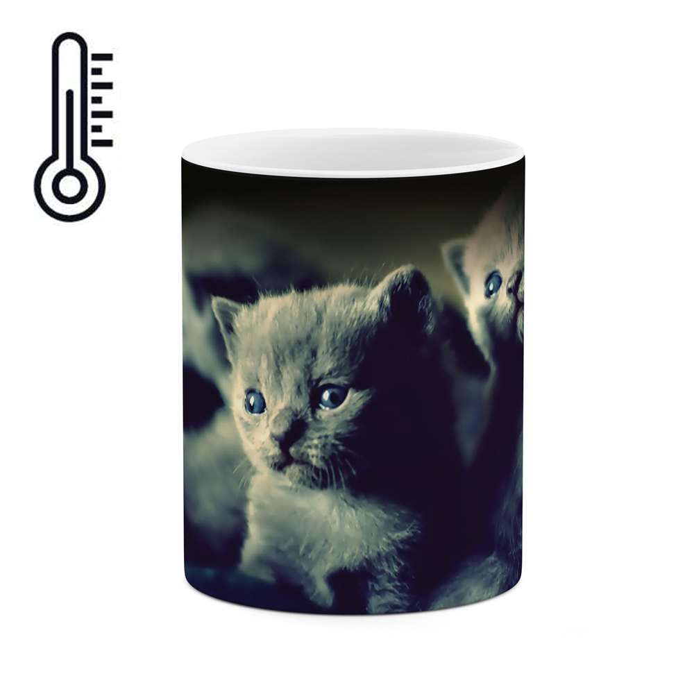 ماگ حرارتی طرح بچه گربه ها مدل mgh02438