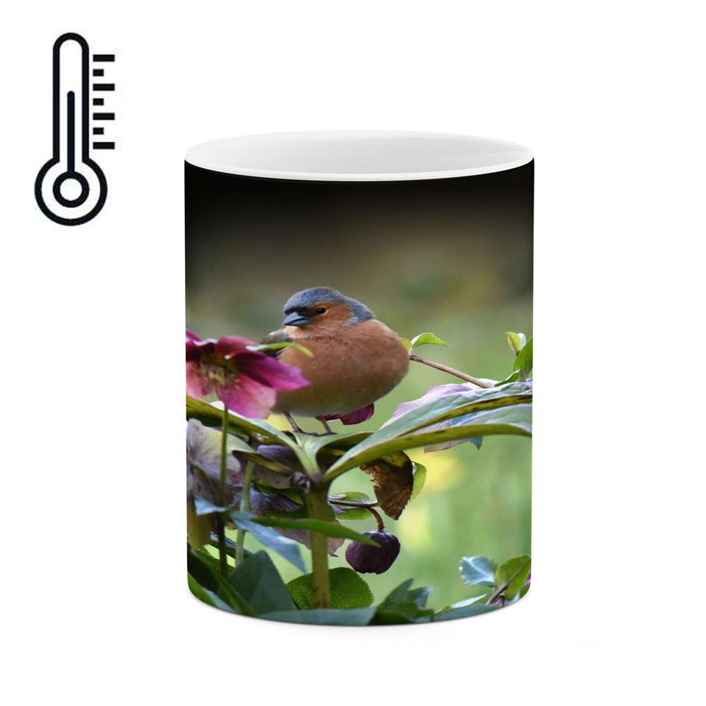 ماگ حرارتی کاکتی طرح پرنده مدل mgh15592