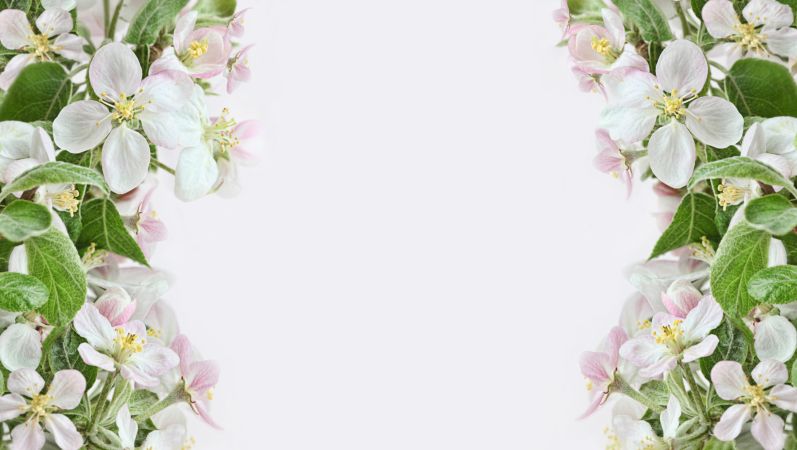 خرید و دانلود عکس Flower-Part-9 کد 18375 | پیک فاکس | Pic Fox