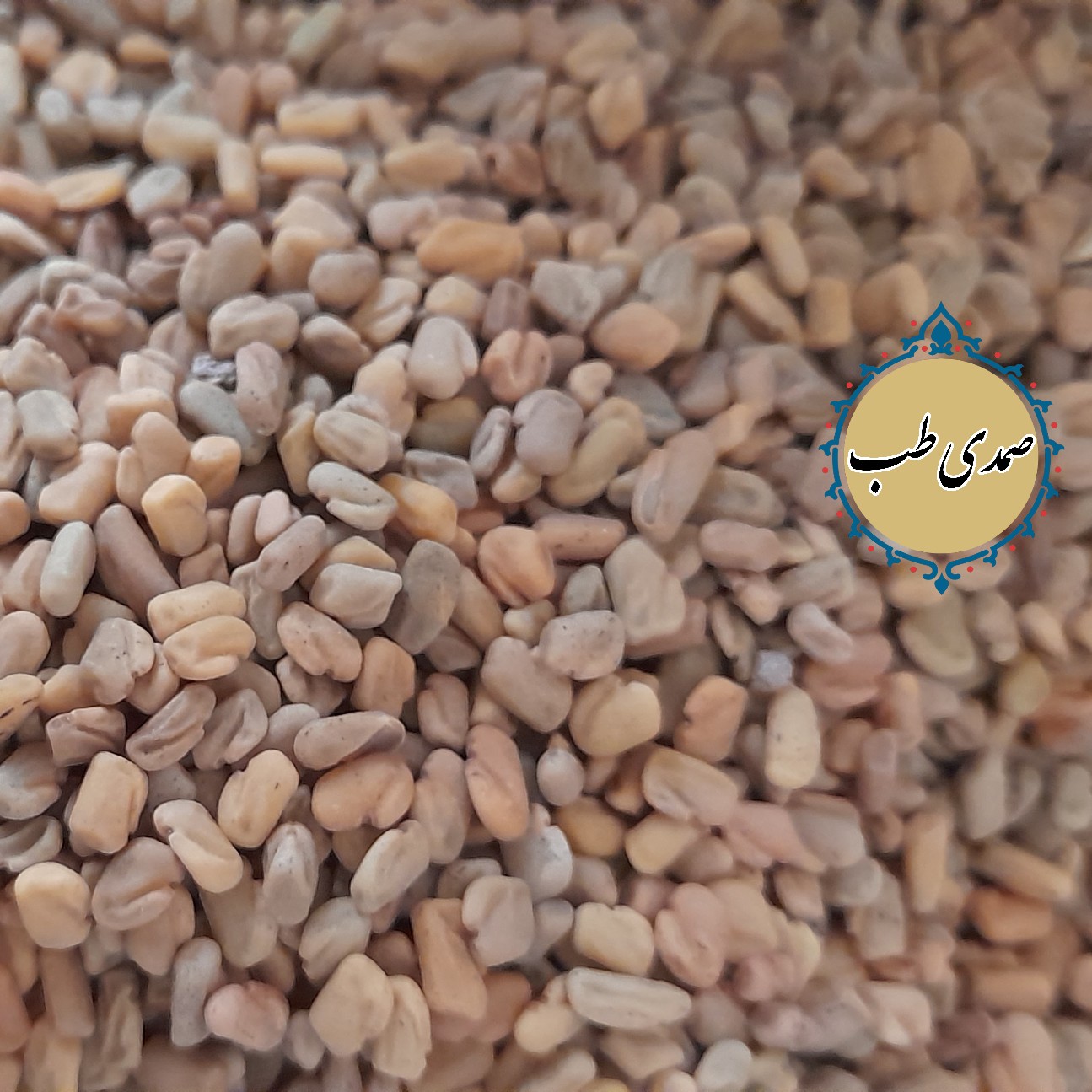 تخم شنبلیله 500گرم