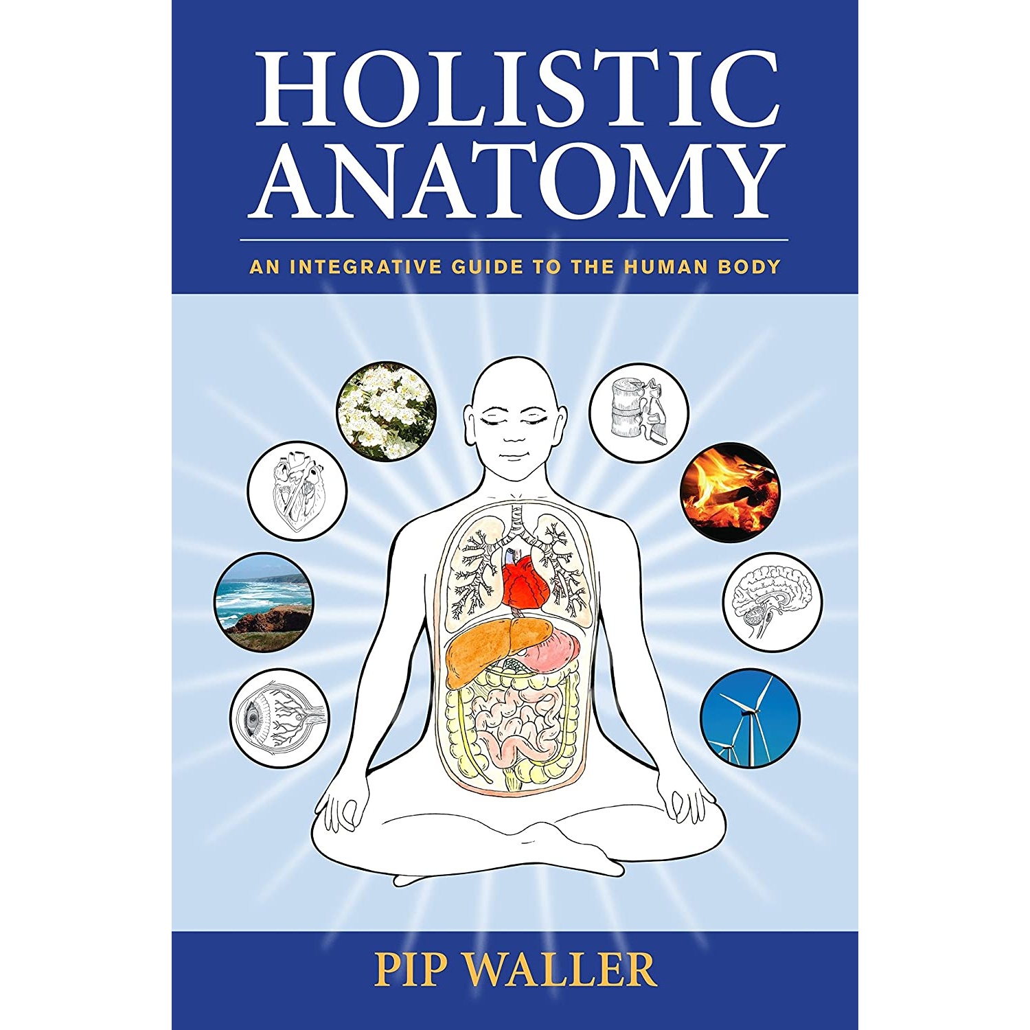 کتاب Holistic Anatomy اثر Pip Waller انتشارات North Atlantic Books