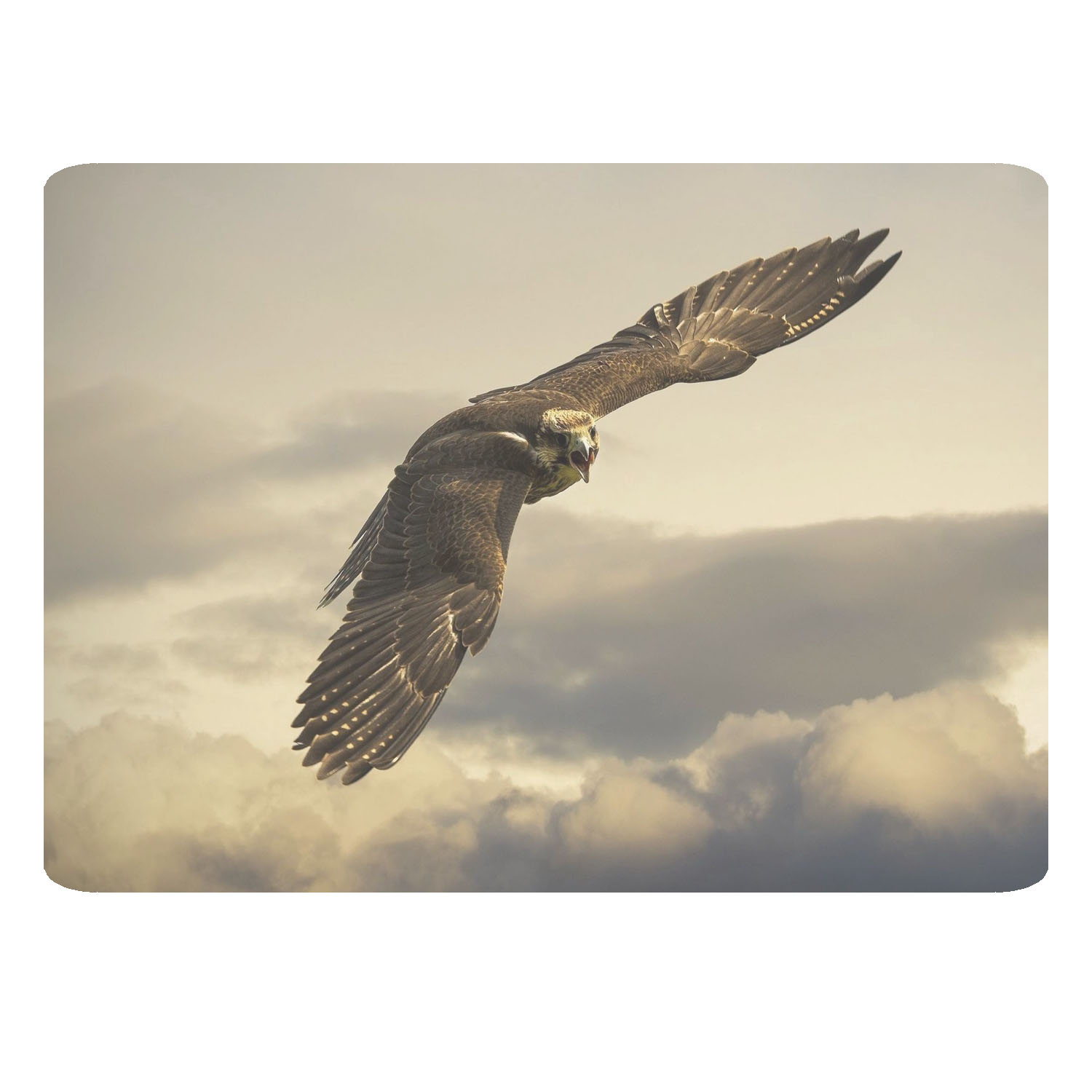 ماوس پد طرح عقاب کد B57