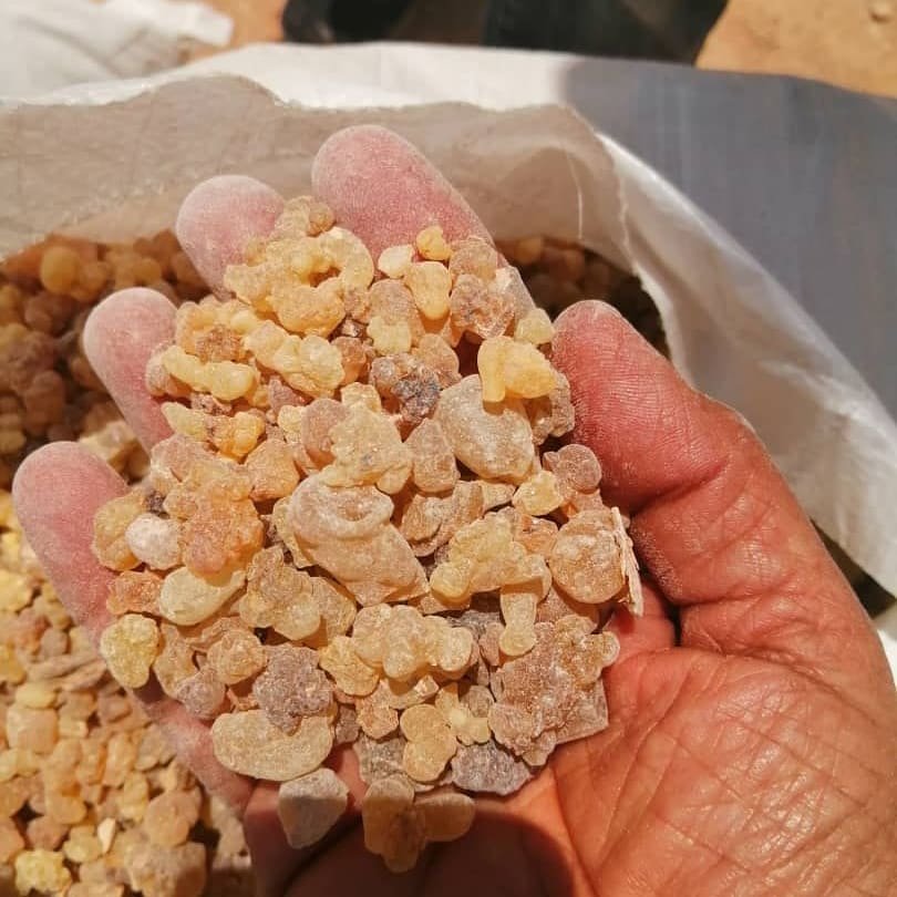 کندر تلخ 20گرمی