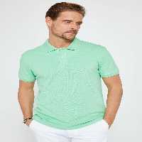 تی شرت یقه پولو سبز مردانه برش باریک 100 ٪ پنبه مسطح PIKE MINT POLO T Tudors