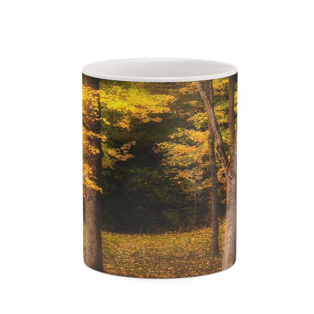 ماگ کاکتی طرح منظره پاییزی مدل mgh18571