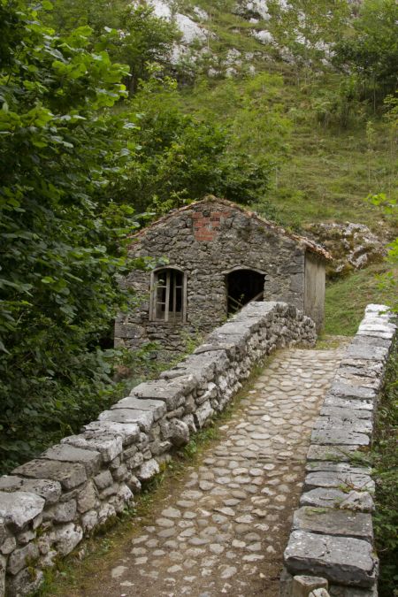 خرید و دانلود عکس Nature-Part-17 کد 35709 | پیک فاکس | Pic Fox