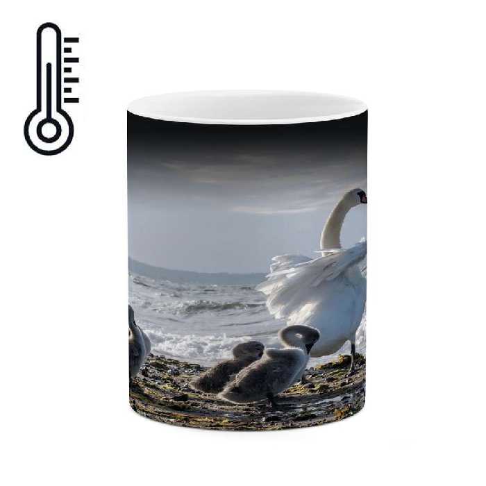 ماگ حرارتی کاکتی طرح قو مدل mgh14333