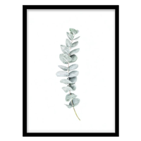 قیمت و خرید تابلو دکوراتیو مدل پوستر برگ اکالیپتوس کد 1627