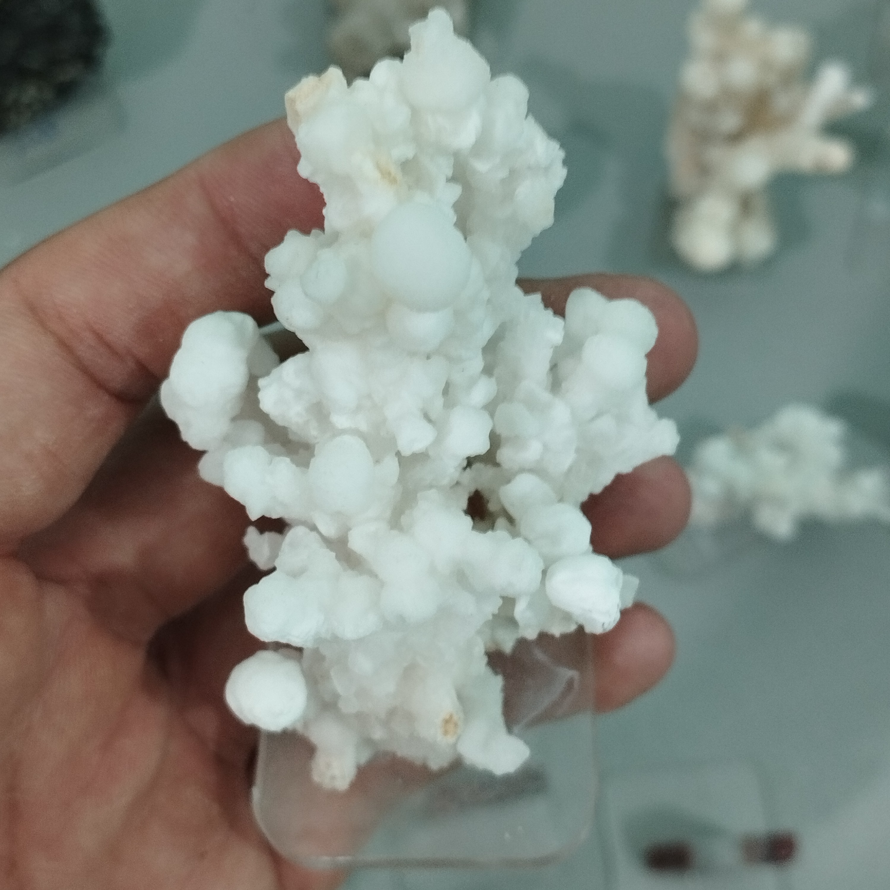 کلکسیونی آراگونیت گل کلمی قد 9سانتیمتر پهنا 5سانتیمتر  پایه دار 