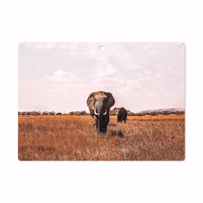 برچسب پوششی ماهوت مدل Elephant مناسب برای تبلت لنوو Miix 320 2017