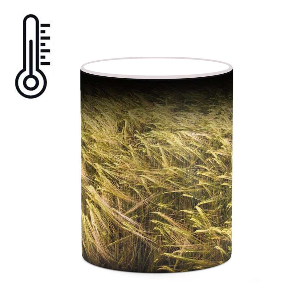 ماگ حرارتی کاکتی طرح منظره مدل mgh20763