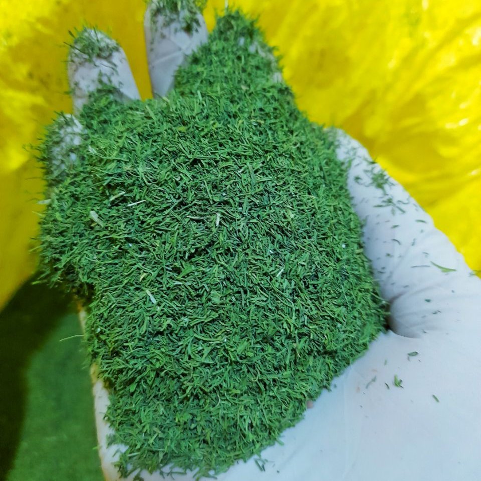 سبزی شوید خشک 100 گرمی بسیار تمیز و معطر