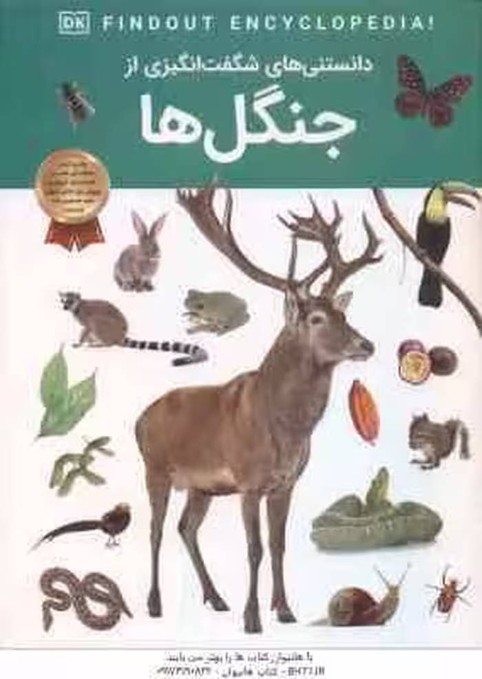 جنگل ها ( کت هیکی – آرین رمضانی ) دانستنی های شگفت انگیزی