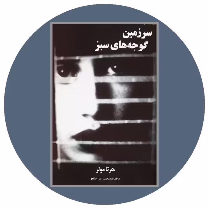 کتاب سرزمین گوجه های سبز- خرید با تخفیف چهل درصد از کتاب دایره قهوه ای