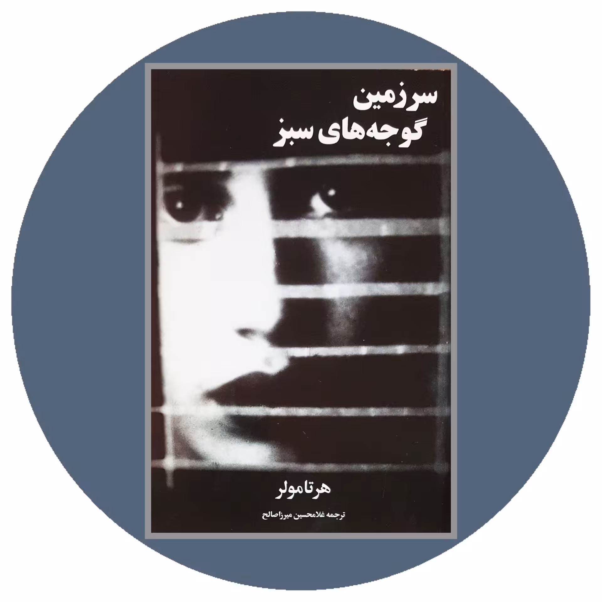 کتاب سرزمین گوجه های سبز- خرید با تخفیف چهل درصد از کتاب دایره قهوه ای