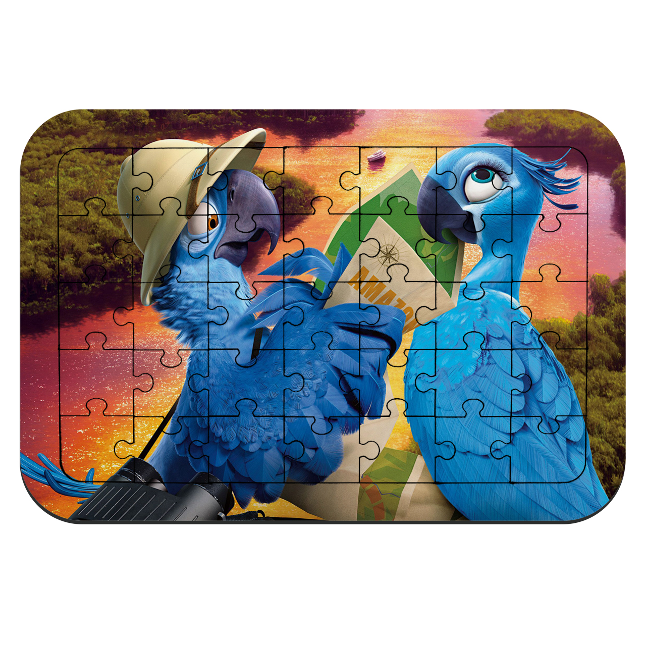 	 پازل 35 تکه طرح انیمیشن ریو مدل NI2143