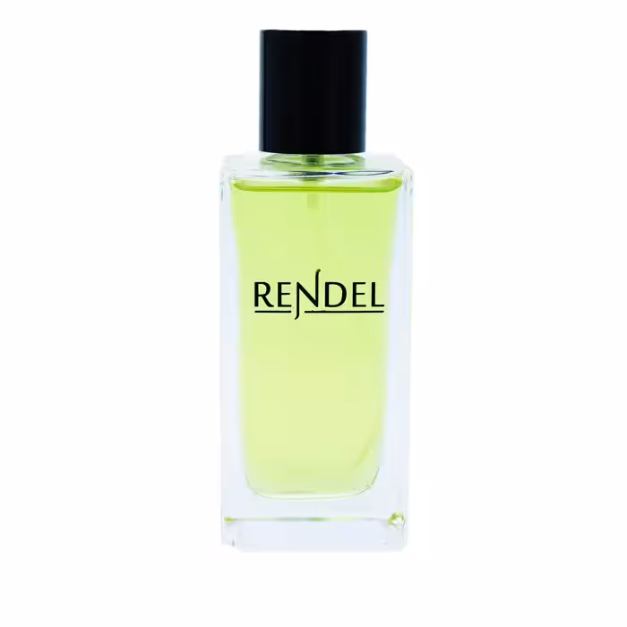 ادو پرفیوم مردانه رندل مدل SILVER SCENT حجم 100 میلی لیتر