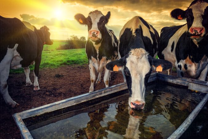 خرید و دانلود عکس Farming کد 15822 | پیک فاکس | Pic Fox