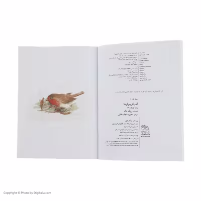 کتاب آدم کوچولوها اثر رولد دال نشر افق