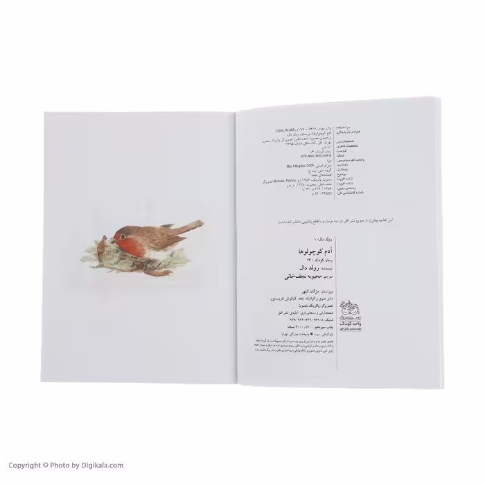 کتاب آدم کوچولوها اثر رولد دال نشر افق