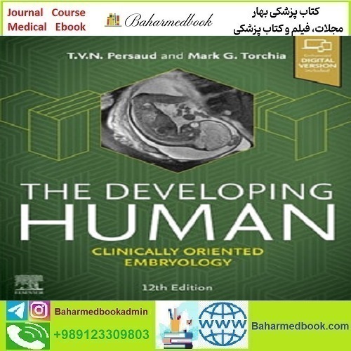 The Developing Human Clinically Oriented Embryology 2025 TRUE