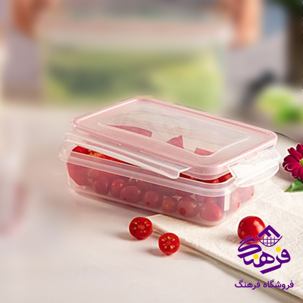 فريزري هومکت 2700 میل مستطيل