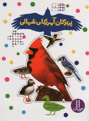 بچسبان و بیاموز 18 (پرندگان آمریکای شمالی)،(گلاسه)