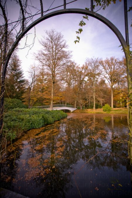 خرید و دانلود عکس Nature-Part-29 کد 36668 | پیک فاکس | Pic Fox