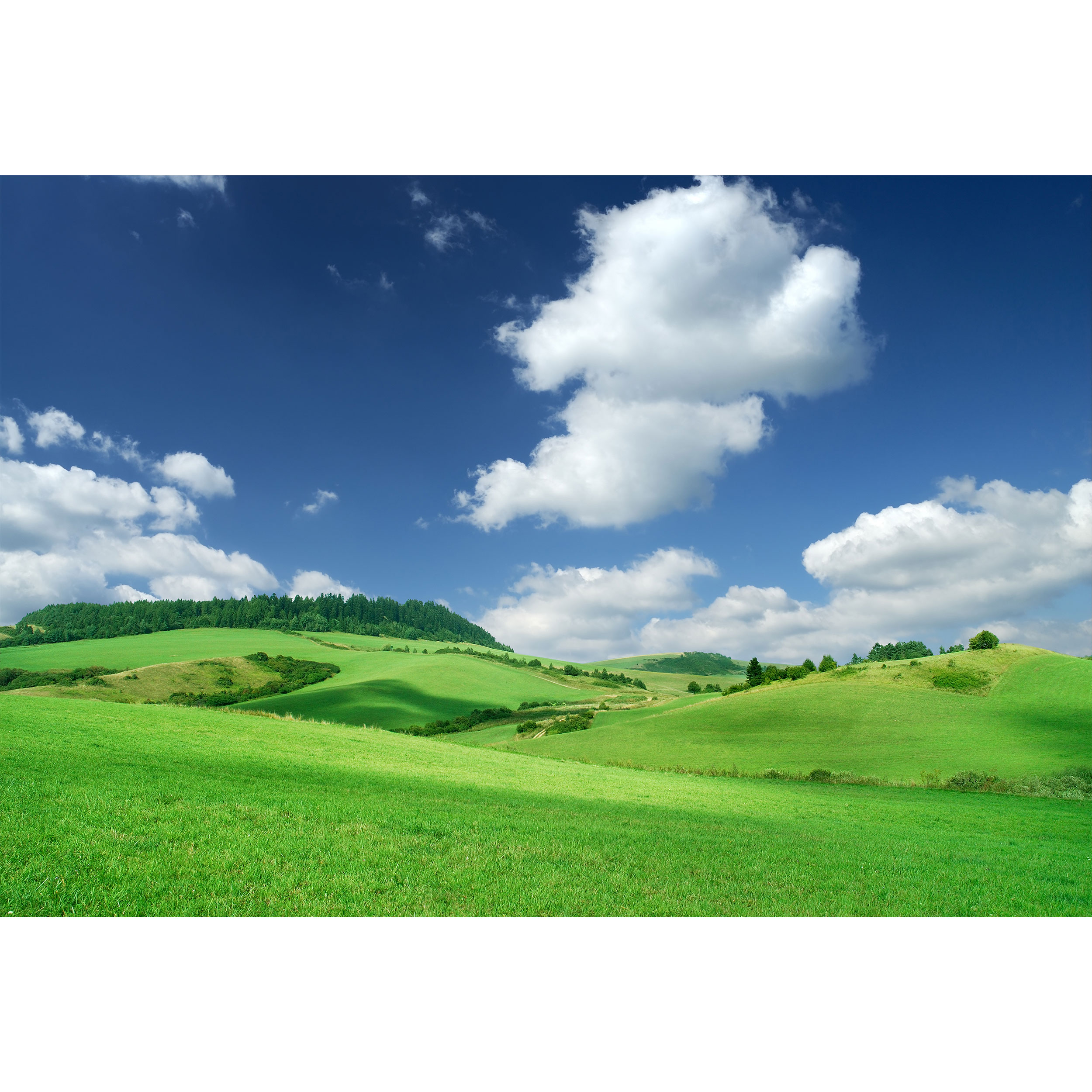 تابلو شاسی مدل منظره و طبیعت و درخت و آسمان و سبزه T7014