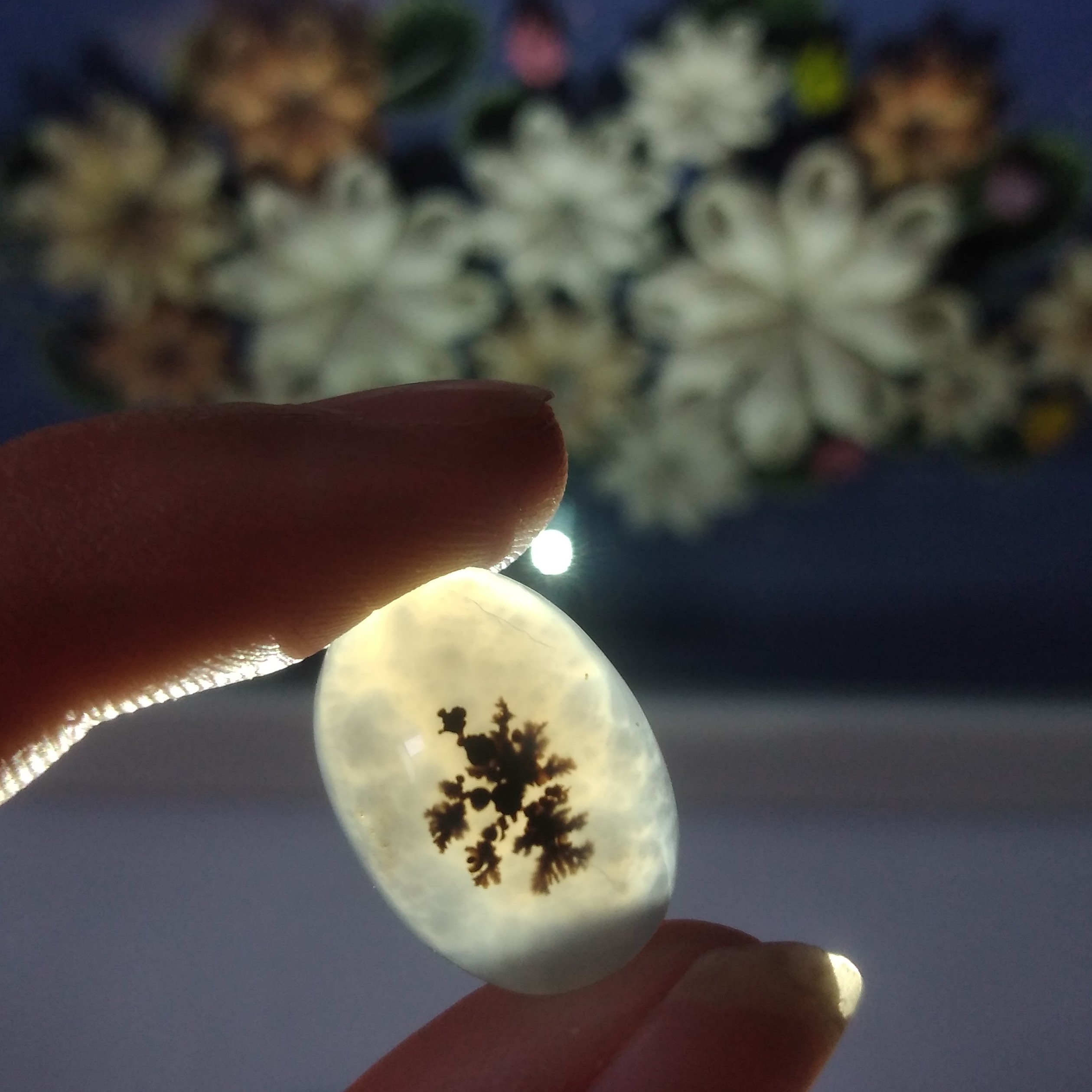 سنگ عقیق شجر قائن                                                                                تک شجر زیبا و بی نقص