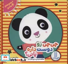 قیمت و خرید کتاب مجموعه چی چی رو دوست داره پانی؟ | ایده بوک