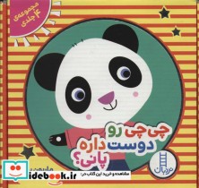قیمت و خرید کتاب مجموعه چی چی رو دوست داره پانی؟ | ایده بوک