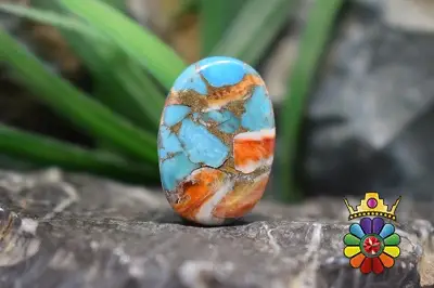 صدف خاردار ترکیبی