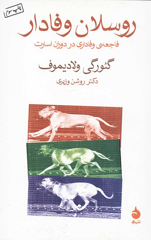 روسلان وفادار (فاجعه وفاداری در دوران اسارت)