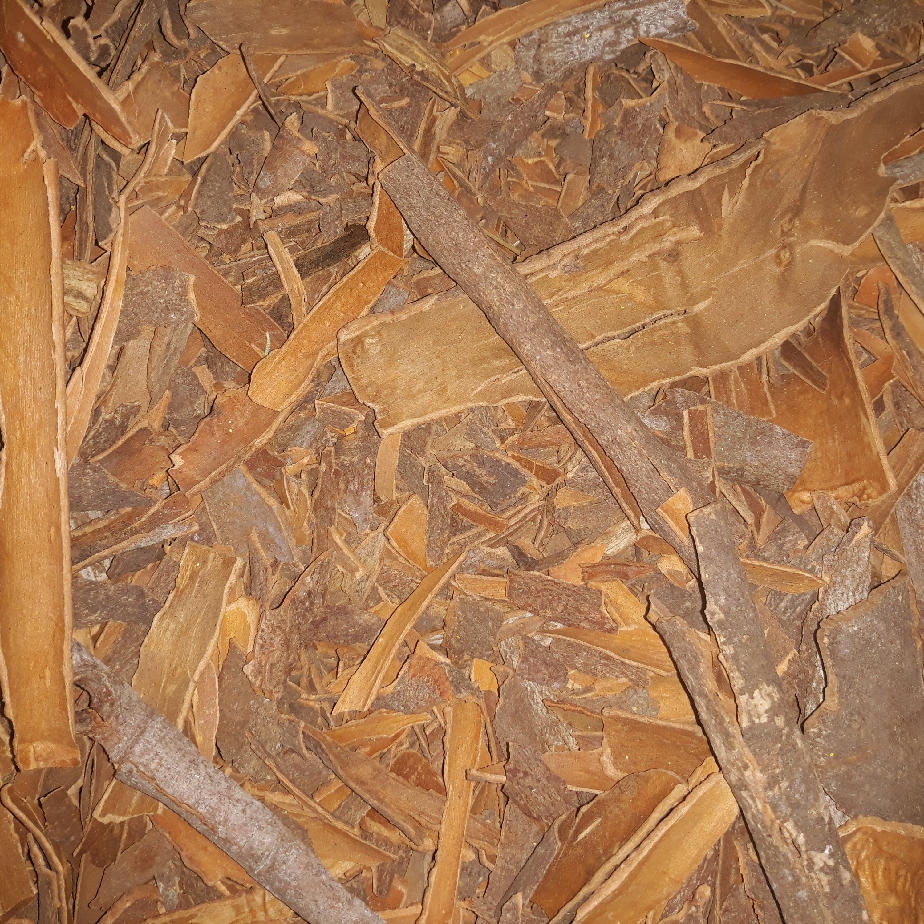 قلم دارچین 70 گرمی ساده