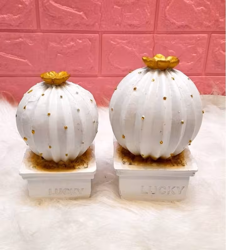 گلدان کاکتوس جفتی