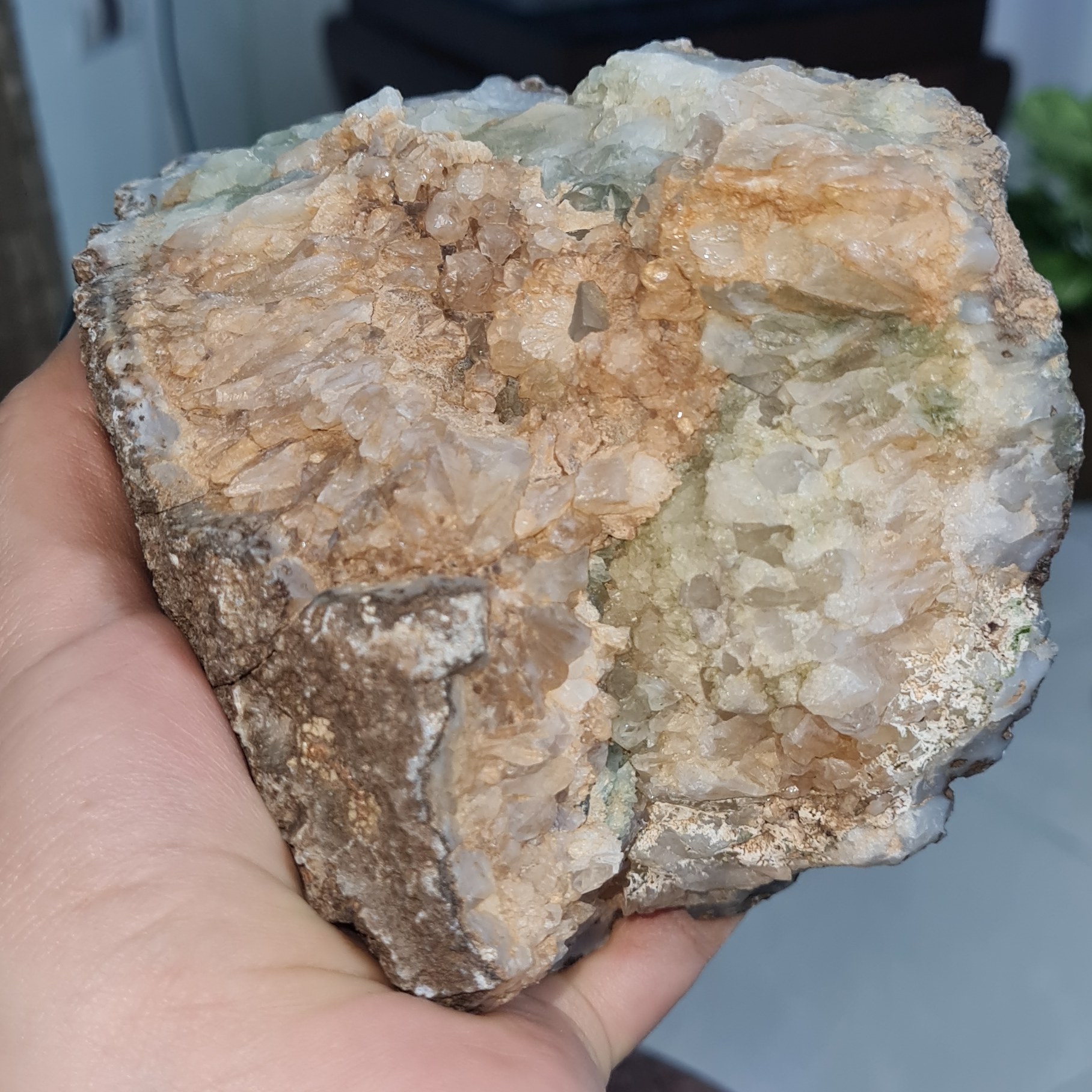 راف کوارتز کلکسیونی