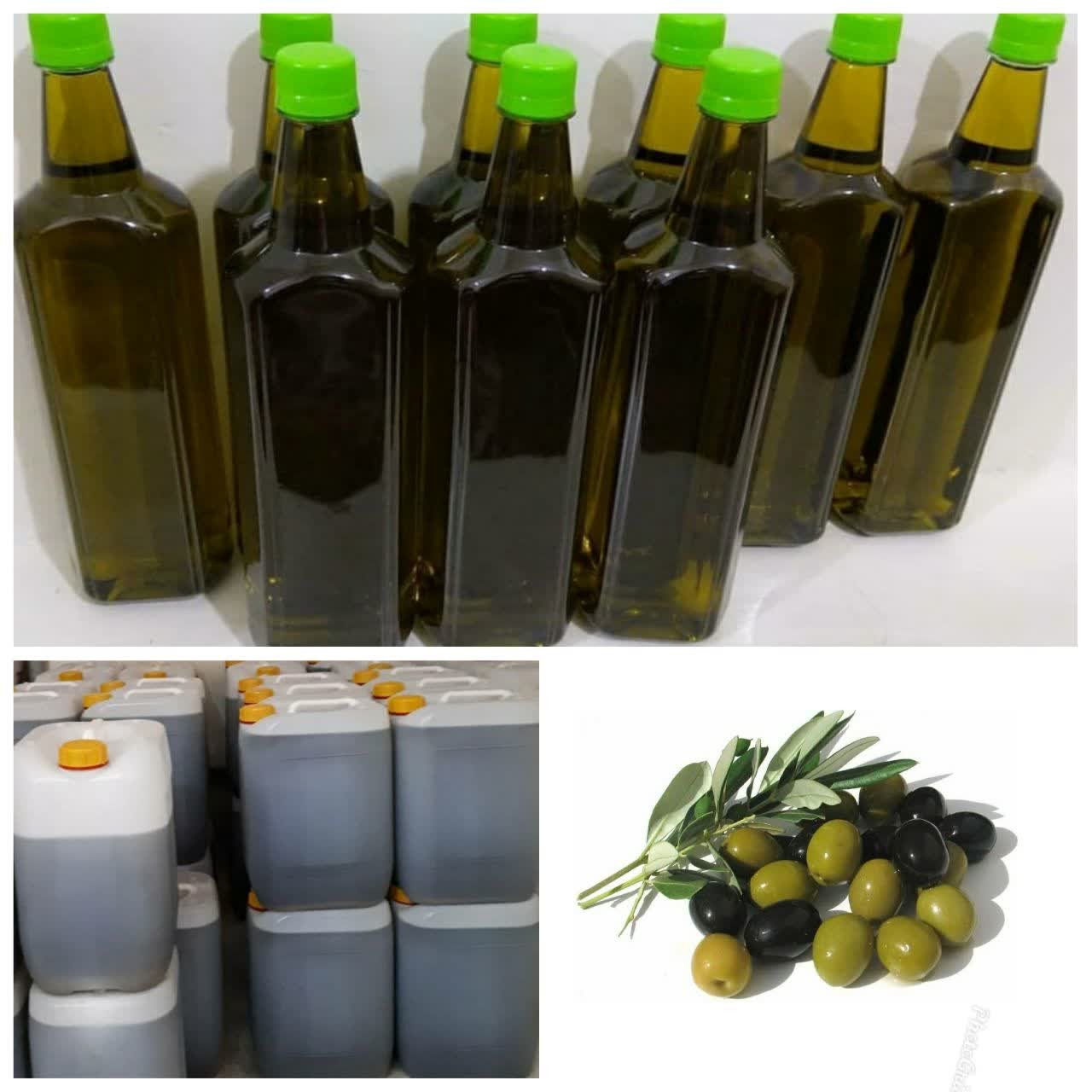 روغن زیتون رودبار گالنی