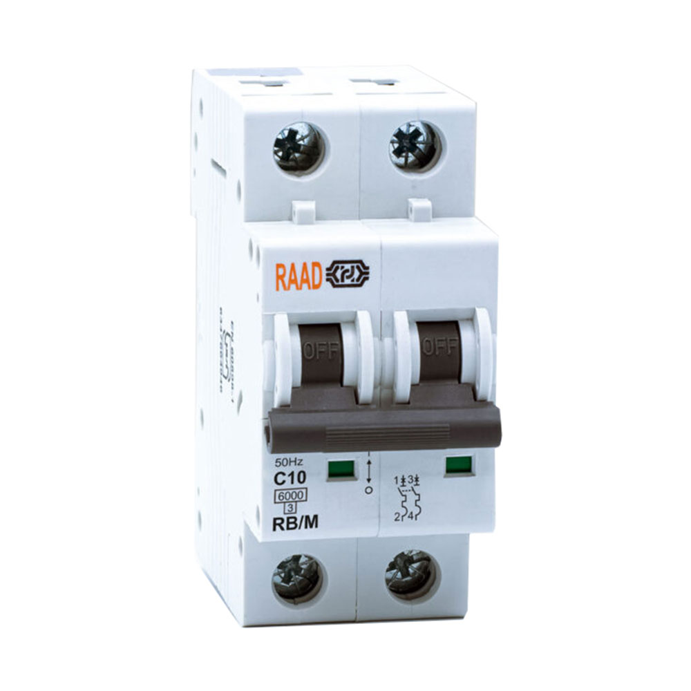 کلید مینیاتوری 2 پل 10 آمپر RB-M-2P-C10-6KA رعد
